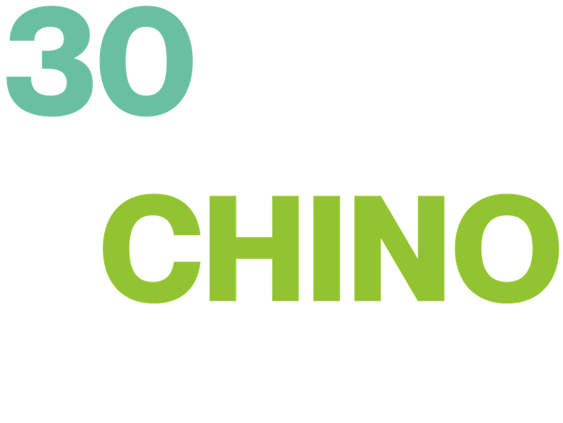 Titulo Ebook 30 Razones Negocios